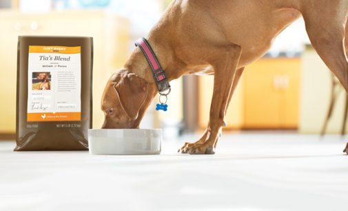 Nestlé Purina Introduces Personalised Dog Food Product in the US