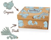 Vegetable Boxes ‘Come of Age’ With New Organic Range From Produce World