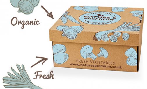 Vegetable Boxes ‘Come of Age’ With New Organic Range From Produce World