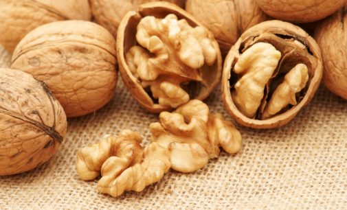 Food Businesses Advised to Increase Surveillance on Walnuts as a Potential Fraud