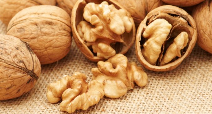 Food Businesses Advised to Increase Surveillance on Walnuts as a Potential Fraud