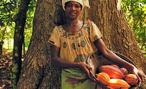 Nestlé Makes Progress on Empowering Women in Cocoa Supply Chain