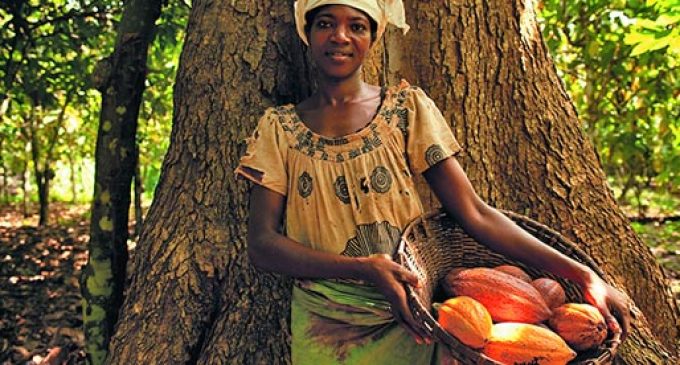 Nestlé Makes Progress on Empowering Women in Cocoa Supply Chain