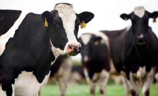 Glanbia Ingredients Ireland and Teagasc Embark on Dairy Ingredients and Processing  Innovation Collaboration