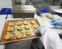 EIPC Brings Production of the SUBWAY® Brand Cookies to Europe
