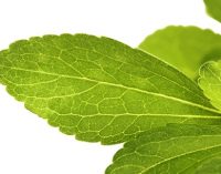 Opportunity to Increase Stevia Consumption in Germany