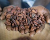 Cargill Enhances Traceability For Premium Payments to Cocoa Farmers – €14 Million Paid in 2015