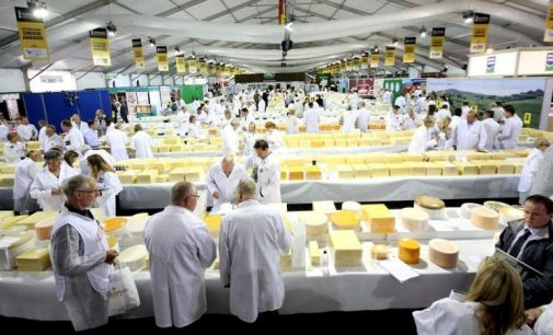 Glanbia Ingredients Ireland Cheddars Win Top Awards at Prestigious Cheese Competition