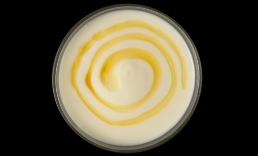 Givaudan’s suite of solutions means high protein dairy products without compromise in Western Europe