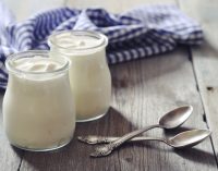 Yogurts and Dairy Beverages Lead Protein NPD Boom