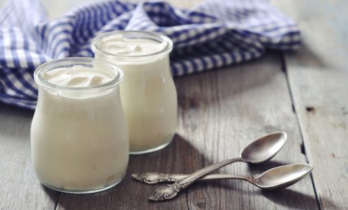 Yogurts and Dairy Beverages Lead Protein NPD Boom