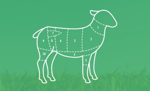 Irish Consumers Appreciate the Role of Lamb Production to Rural Ireland