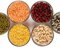 PROTEIN2FOOD – Pioneering crops for future generations