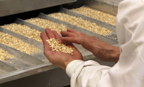A Cutting-edge Innovation to Boost Oat Exports