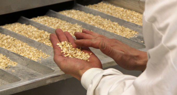 A Cutting-edge Innovation to Boost Oat Exports