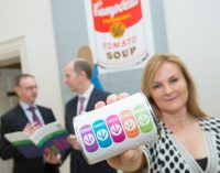 Food and Drink Industry Ireland Report on Reduced Fat, Saturated Fat, Sugar, Salt and Calories in Products