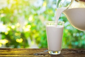dairy-production-in-Nigeria