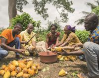 Cargill Cocoa Promise Report – How Livelihoods For Cocoa Farmers and Their Communities are Improving