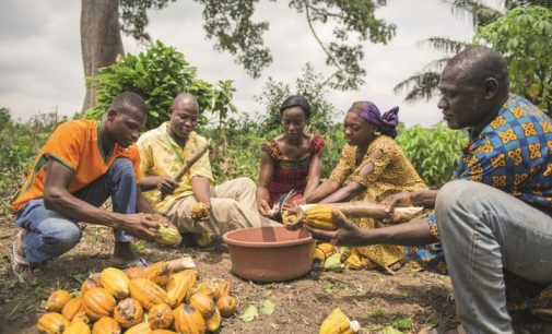 Cargill Cocoa Promise Report – How Livelihoods For Cocoa Farmers and Their Communities are Improving