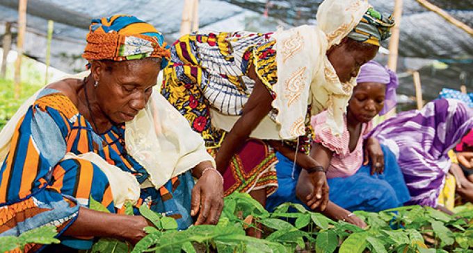 Nestlé Empowers One Million Women in Farming