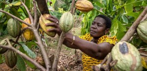women-cocoa-workshops-feed