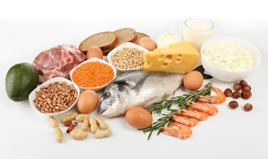 foods-high-in-protein