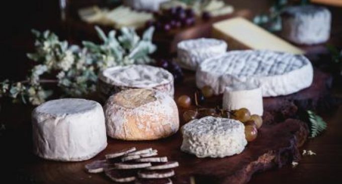 Emmi Strengthens its Position in US Speciality Cheese Market