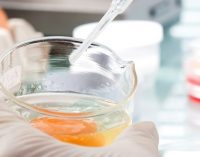 New ISO Standard to Validate Microorganism Testing Methods For the Food Industry