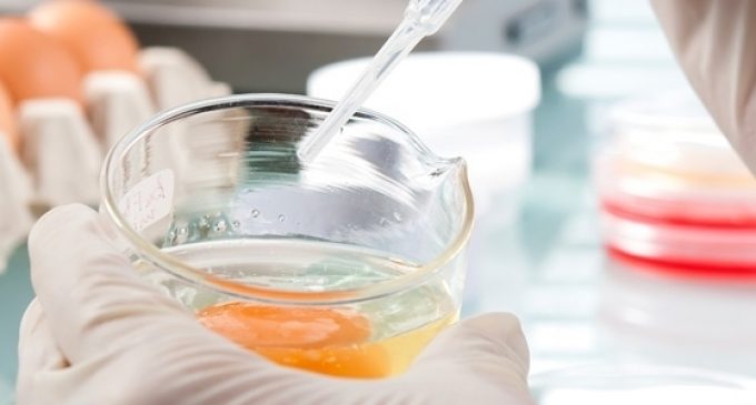 New ISO Standard to Validate Microorganism Testing Methods For the Food Industry