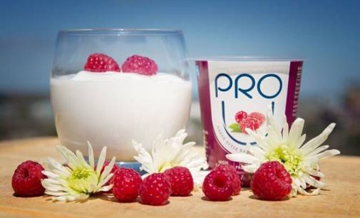 New Irish Health & Wellness Company Launches Yogurt For Bones and Muscles