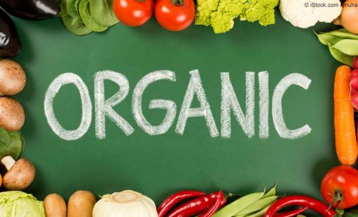 Organic Crop Area on the Rise in the EU