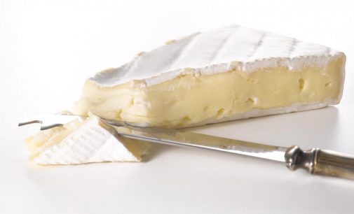 DuPont Nutrition & Health Launches New Cheese Cultures