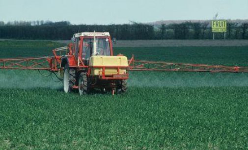 Risk to Consumers of Pesticide Residues in Food Remains Low