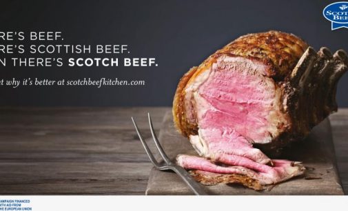 Report Highlights Economic Importance of Scottish Red Meat Industry