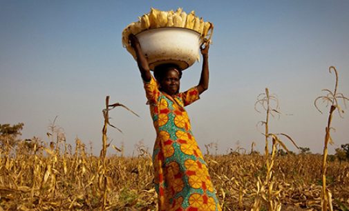 Nestlé and USAID Partner For High Quality Maize in Ghana