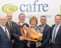 Northern Ireland’s Meat Producers Encouraged to Innovate