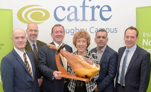 Northern Ireland’s Meat Producers Encouraged to Innovate