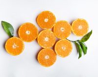 Jaffa Orri Mandarin Export Sales Expected to Increase by 50%