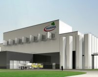 €50 Million Loan For Polish Dairy Co-operative