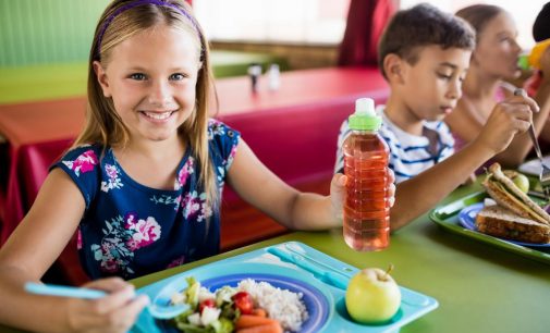 Child Obesity – Technical Guidance on Procurement For Healthy Food in Schools