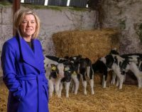 University College Cork Appoints New Head of Food Business