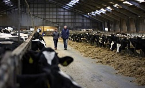 Additional €124 Million Paid Out to Arla Farmers