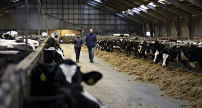 Additional €124 Million Paid Out to Arla Farmers