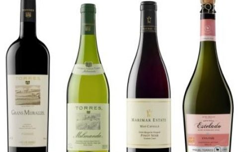 Bodegas Torres Voted Most Admired European Wine Brand