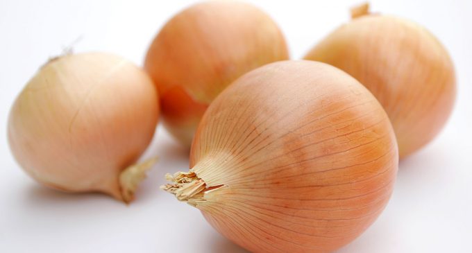 Organic Conditions Boost Flavonoids and Antioxidant Activity in Onions