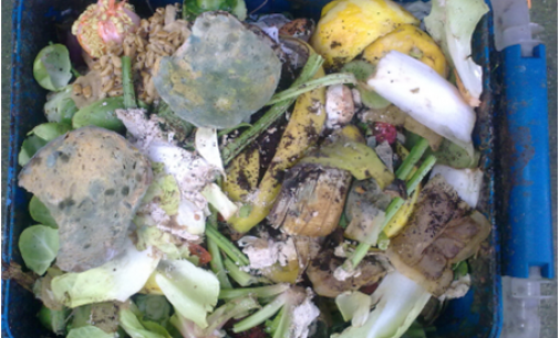 It’s Time to End Food Waste – White Paper
