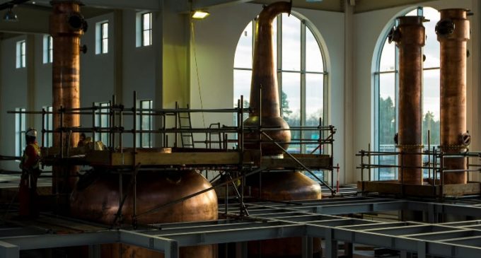 Global Growth in Irish Whiskey Leading to Increased Demand For Irish Barley and Malt