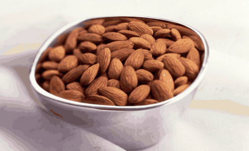 Almonds Retain Top Spot For Nut Introductions in Europe