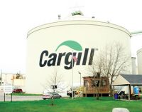 Cargill and AKV Langholt to Invest $22.5 Million in Potato Starch Production Facility