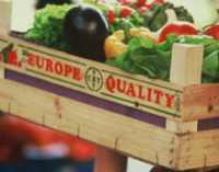 Solid Performance of European Agri-food Exports